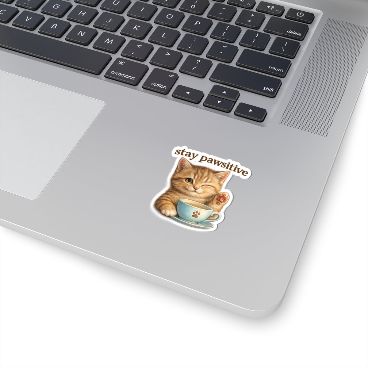 Stay Pawsitive Cute Cat Sticker